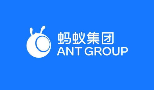 螞蟻集團(tuán)落子重慶，數(shù)字天螞公司成立深耕軟件研發(fā)