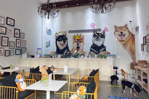 身邊的美學(xué)空間 蘇州這幾處公共文化體驗(yàn)空間，文藝小資且充滿藝術(shù)靈感